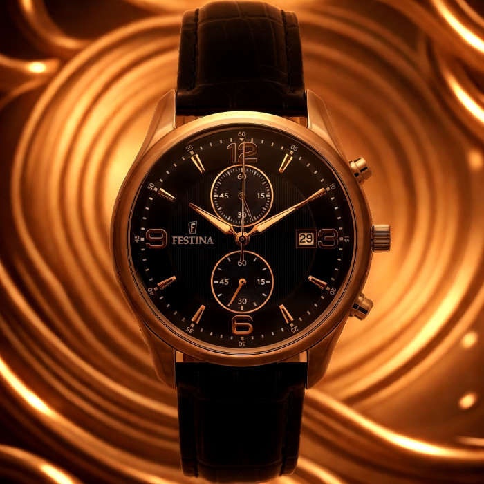 Festina Timeless Chronograph