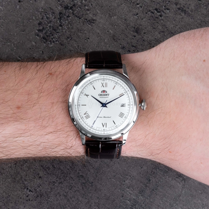 Orient Bambino Automatic