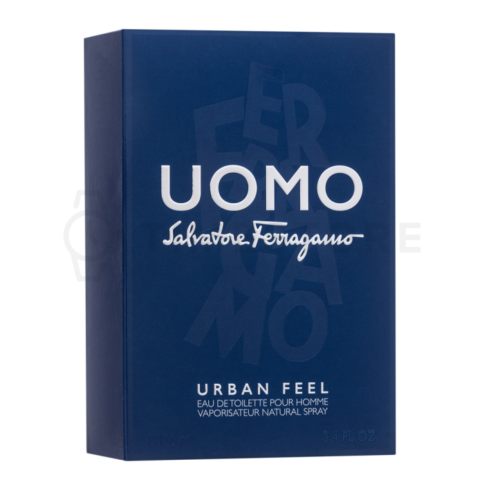 Salvatore Ferragamo Uomo Urban Feel toaletná voda pre mužov 100 ml