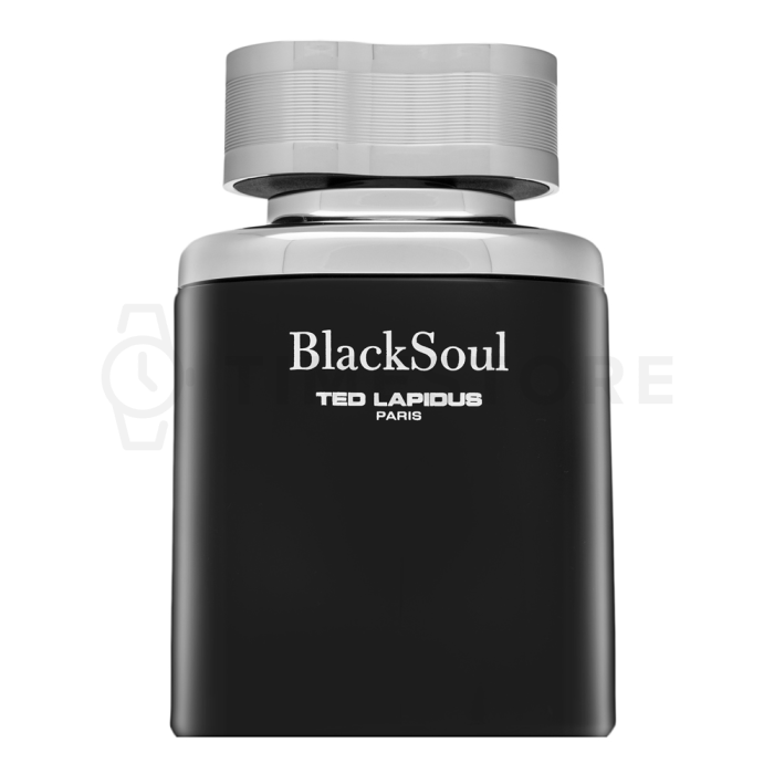 Ted Lapidus Black Soul toaletná voda pre mužov 50 ml