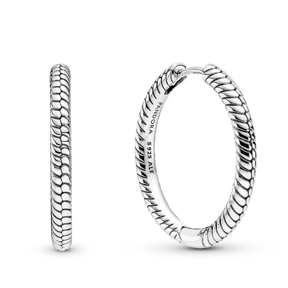 Náušnice Pandora Moments