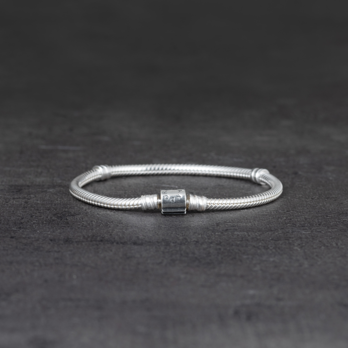 Zapestnica Pandora Moments