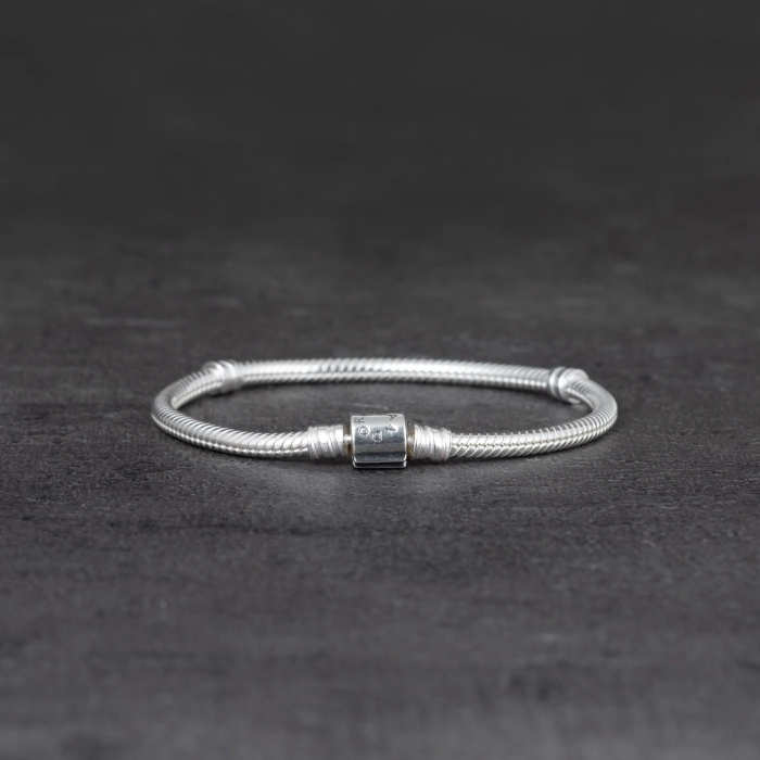 Náramek Pandora Moments