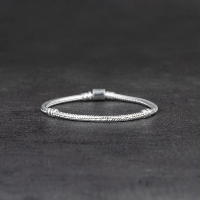 Náramek Pandora Moments