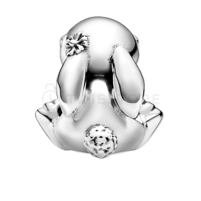 Korálik Pandora Moments