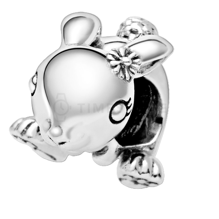 Korálik Pandora Moments