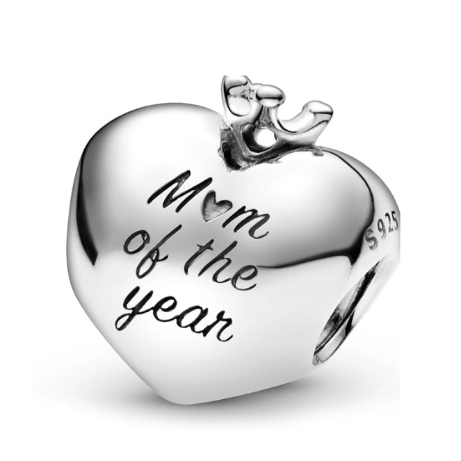 Charms Pandora Moments