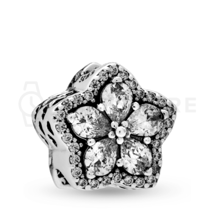 Charms Pandora Timeless