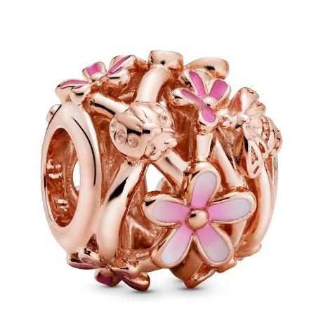 Korálik Pandora Moments