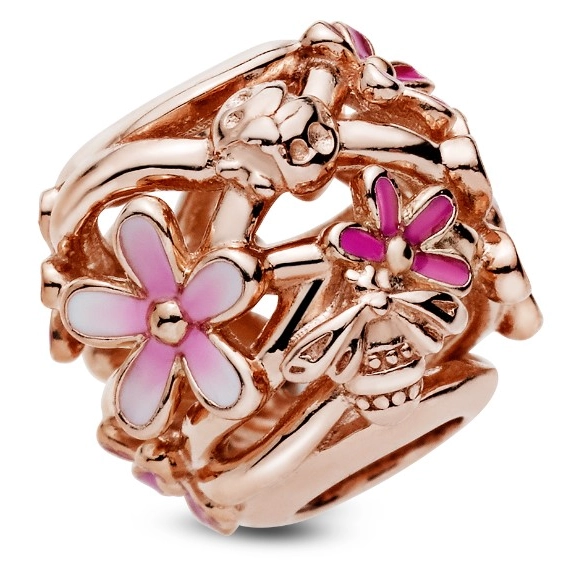 Korálik Pandora Moments