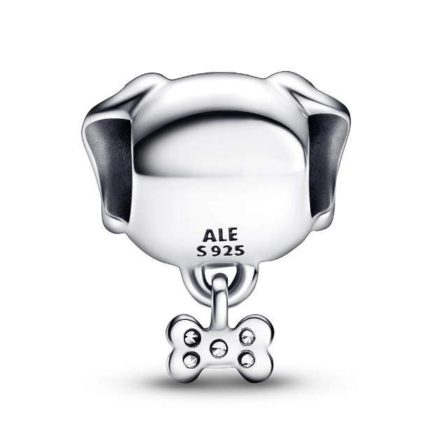 Korálek Pandora Moments