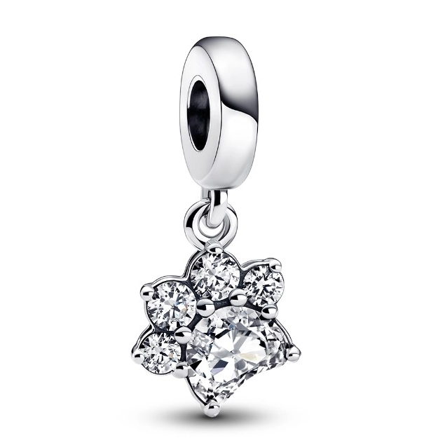 Obesek Pandora Moments