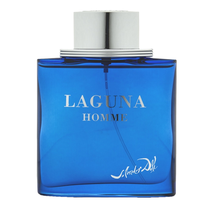 Salvador Dali Laguna Homme toaletná voda pre mužov 100 ml