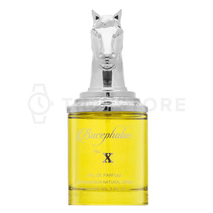 Armaf Bucephalus No. X parfémovaná voda pre mužov 100 ml