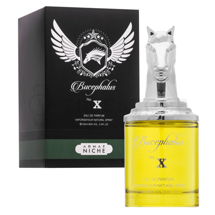 Armaf Bucephalus No. X parfémovaná voda pre mužov 100 ml