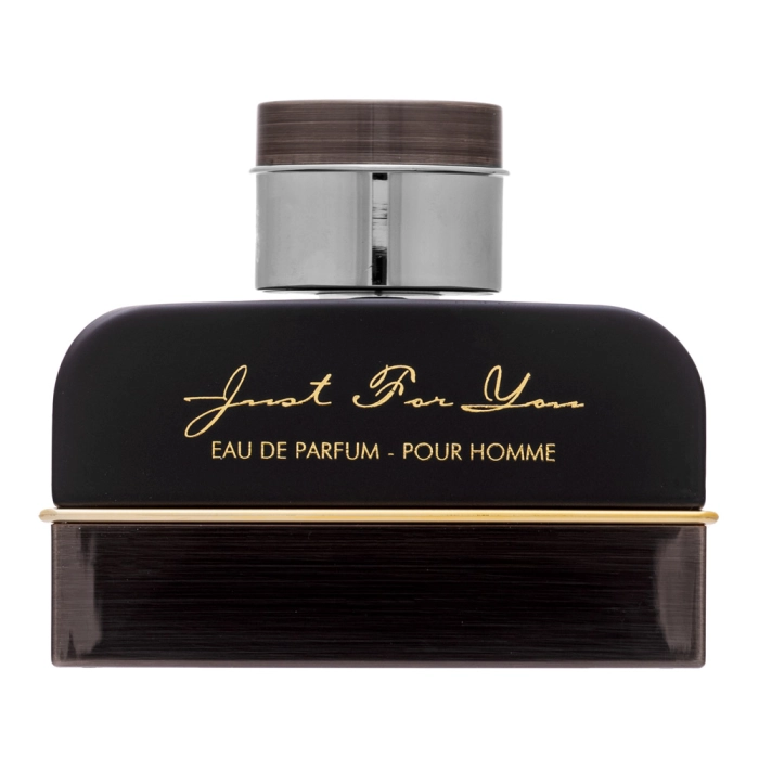 Armaf Just For You Pour Homme parfémovaná voda pre mužov 100 ml