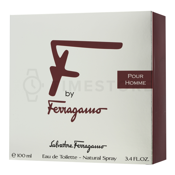 Salvatore Ferragamo F by Ferragamo Pour Homme toaletná voda pre mužov 100 ml