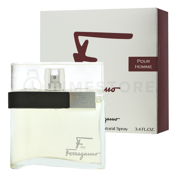 Salvatore Ferragamo F by Ferragamo Pour Homme toaletná voda pre mužov 100 ml