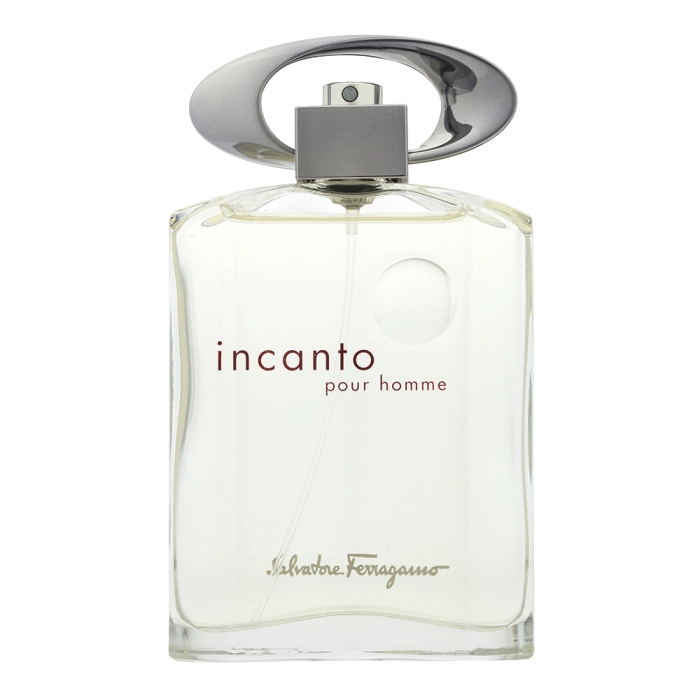 Salvatore Ferragamo Incanto Pour Homme toaletná voda pre mužov 100 ml