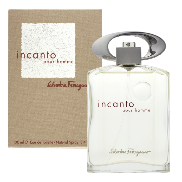 Salvatore Ferragamo Incanto Pour Homme toaletná voda pre mužov 100 ml