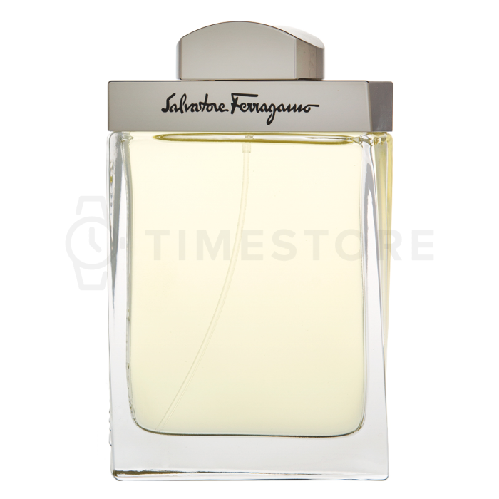 Salvatore Ferragamo Pour Homme toaletná voda pre mužov 100 ml