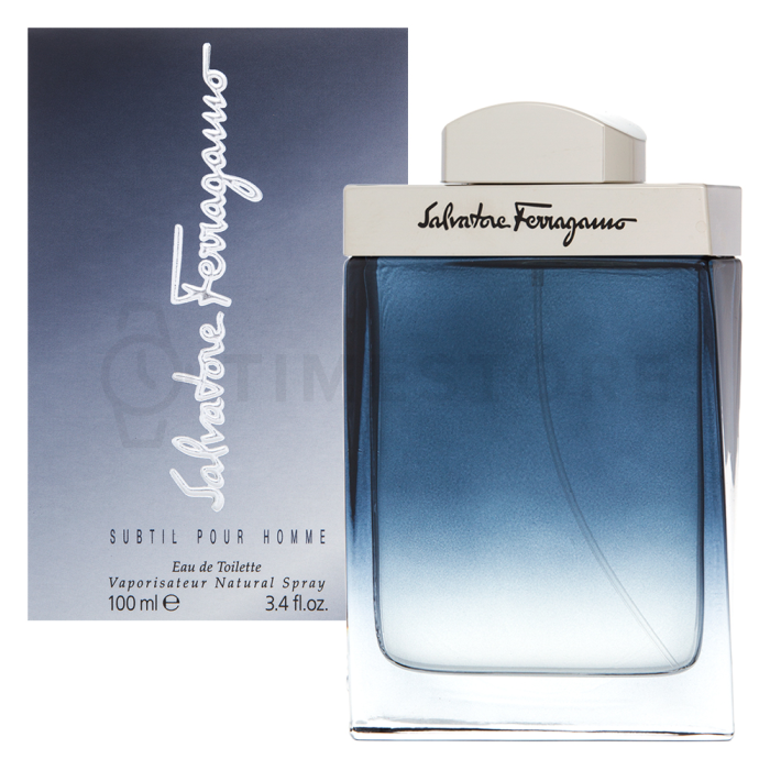 Salvatore Ferragamo Subtil Pour Homme toaletná voda pre mužov 100 ml