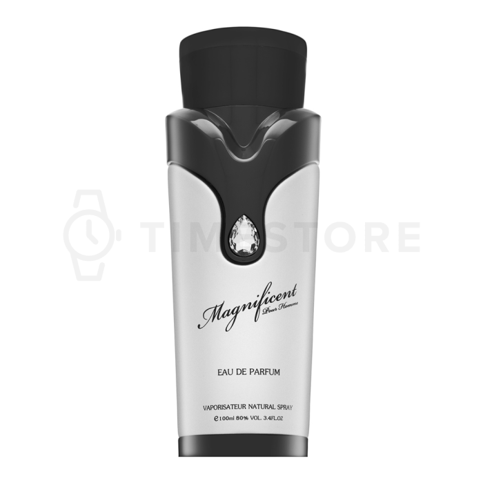 Armaf Magnificent Pour Homme parfumirana voda za moške 100 ml