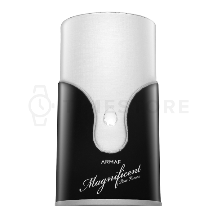 Armaf Magnificent Pour Homme parfumirana voda za moške 100 ml