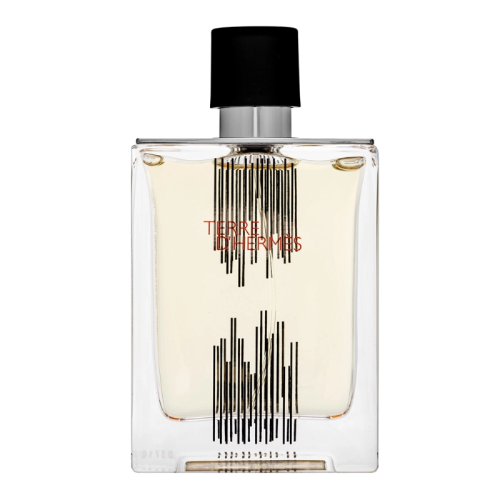 Hermes Terre d´Hermes Flacon H 2021 toaletná voda pre mužov 100 ml