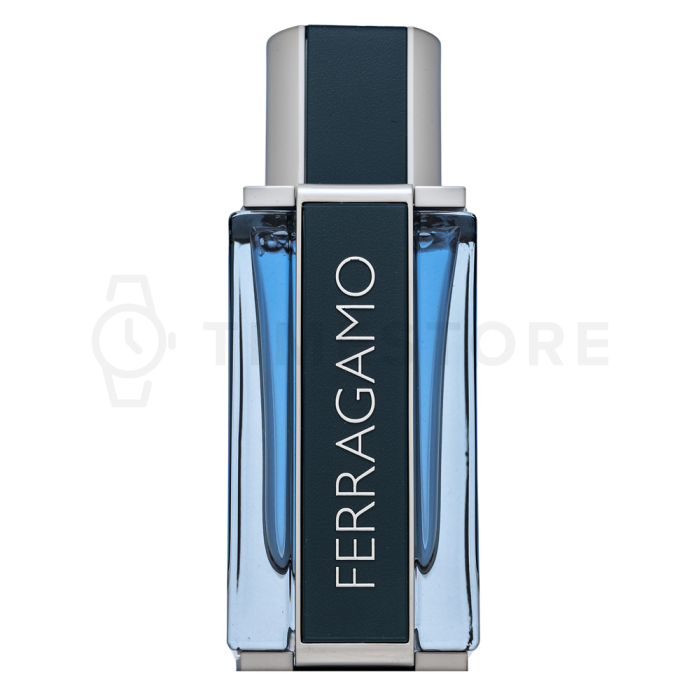 Salvatore Ferragamo Intense Leather parfémovaná voda pre mužov 50 ml