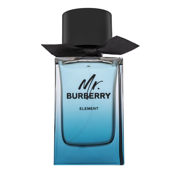 Burberry Mr. Burberry Element toaletná voda pre mužov 150 ml