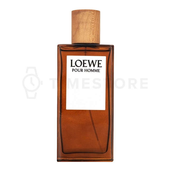 Loewe Pour Homme toaletná voda pre mužov 100 ml