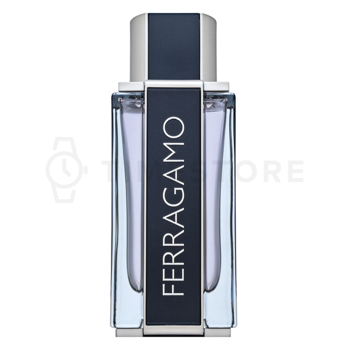 Salvatore Ferragamo Ferragamo toaletná voda pre mužov 100 ml