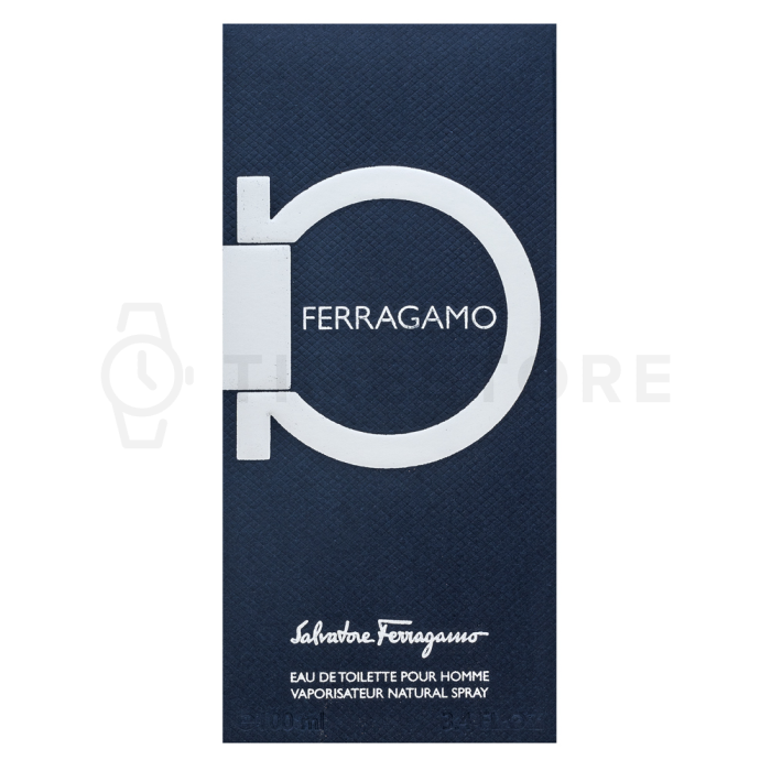 Salvatore Ferragamo Ferragamo toaletná voda pre mužov 100 ml