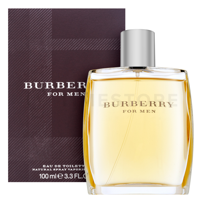 Burberry For Men toaletná voda pre mužov 100 ml