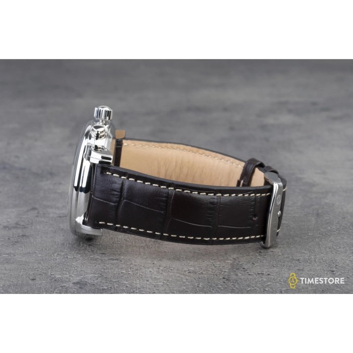 Zeppelin 100 Years Zeppelin