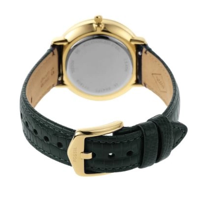 Fossil Prismatic Galaxy