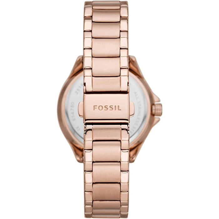 Fossil Sadie