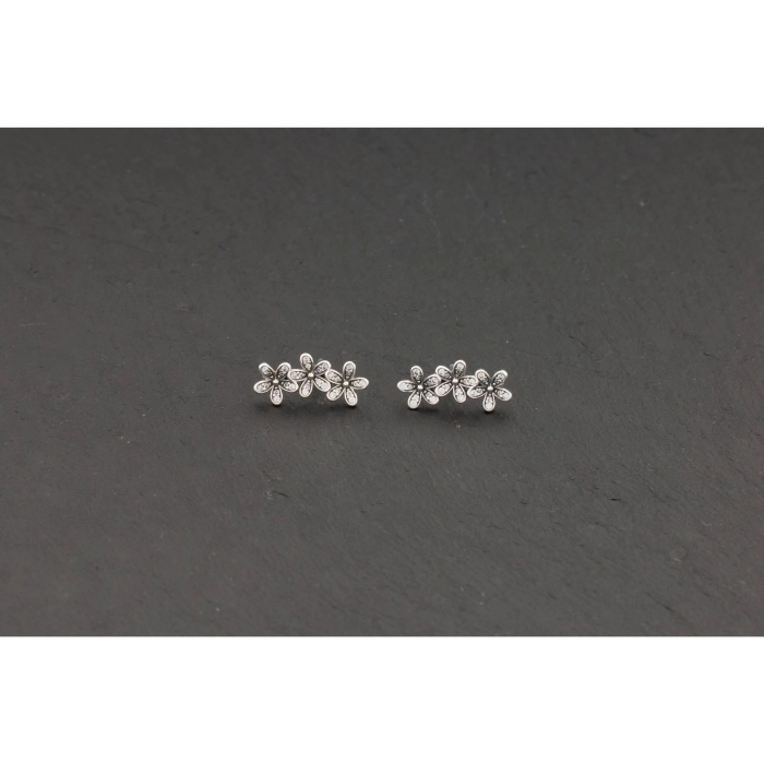 Náušnice Pandora Moments