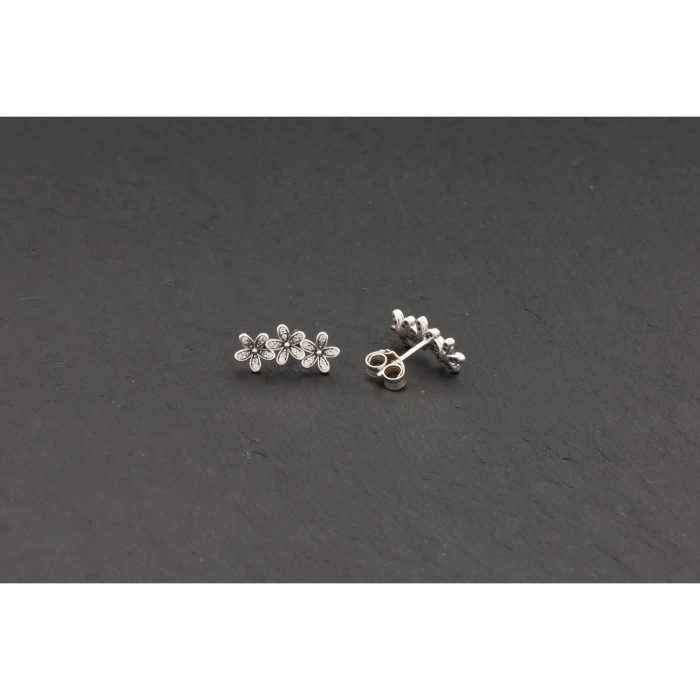 Náušnice Pandora Moments