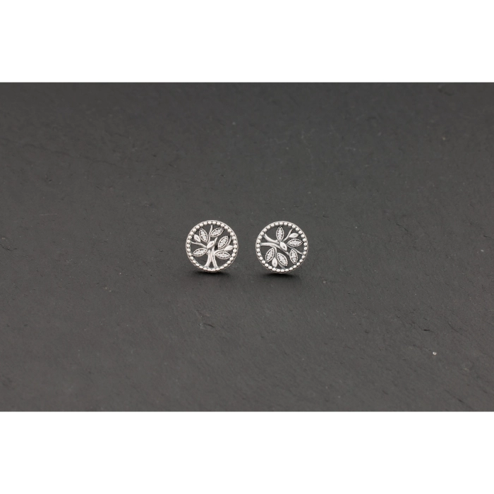 Náušnice Pandora Moments