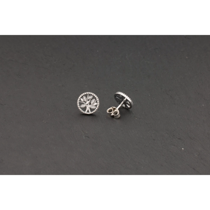 Náušnice Pandora Moments