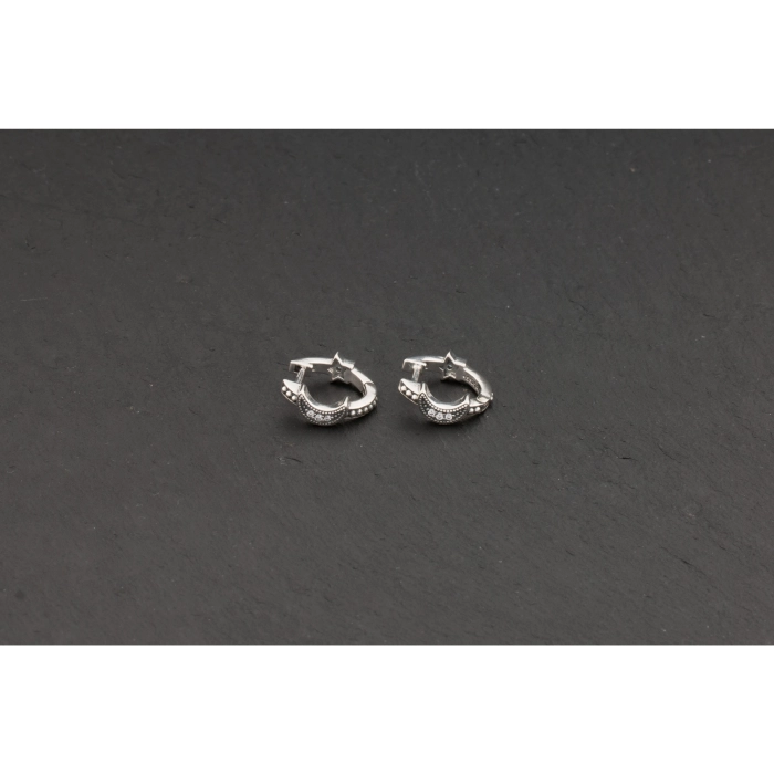 Náušnice Pandora Moments