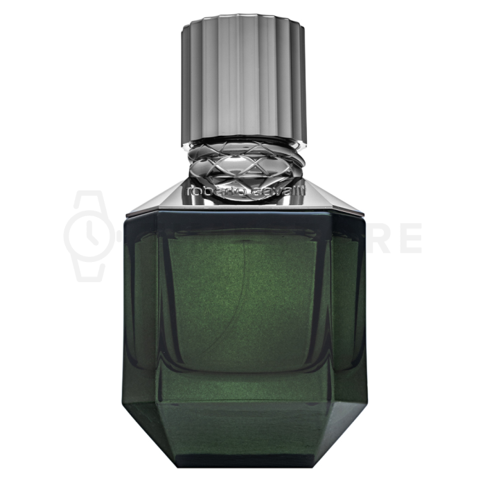 Roberto Cavalli Paradise Found toaletná voda pre mužov 50 ml