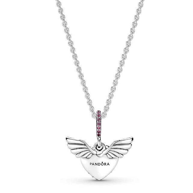 Ogrlica Pandora Moments