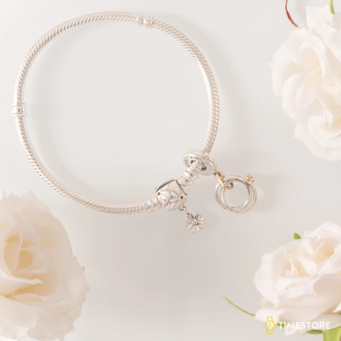 Narukvica Pandora Moments