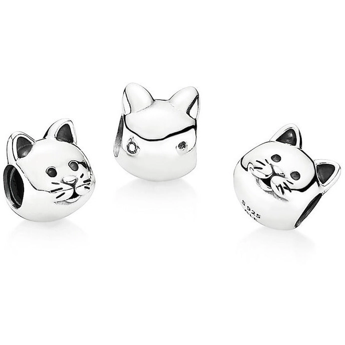 Korálik Pandora Moments