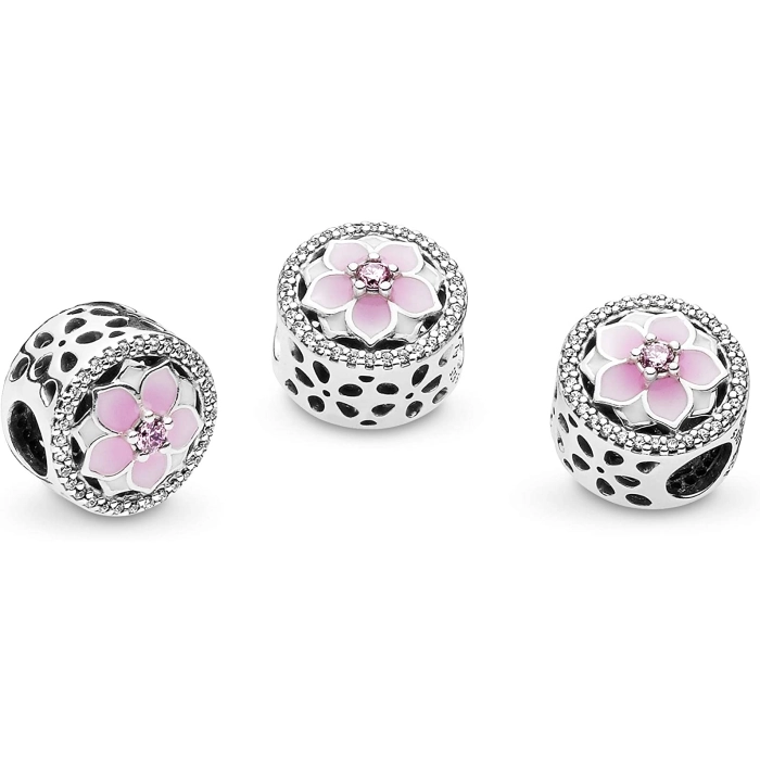 Korálik Pandora Moments