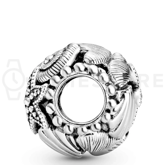 Korálik Pandora Moments