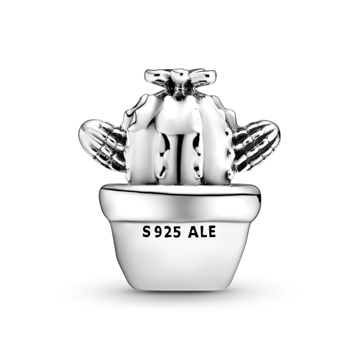 Korálik Pandora Moments